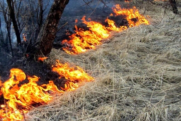 Опасность выжигания сухой травы и ответственность