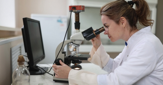 Искусственный интеллект, аддитивное производство, биотехнологии: на какие отрасли сделана ставка в стандартизации